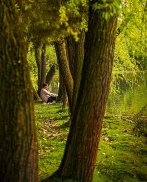 Ganzheitliche Schmerztherapie Rückenschmerzen APM Therapie RadloffQiFluss Praxis Rüti ZH