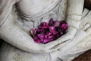 Ganzheitliche Schmerztherapie Rückenschmerzen APM Therapie RadloffQiFluss Praxis Rüti ZH