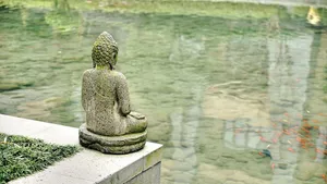 Ganzheitliche Schmerztherapie Chronische Schmerzen APM Therapie Radloff QiFluss Praxis Rüti ZH