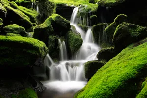 Ganzheitliche Schmerztherapie Rückenschmerzen APM Therapie RadloffQiFluss Praxis Rüti ZH